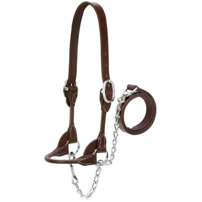 Image of Weaver Leather Livestock Dairy/Beef Rounded Show Halter, Brown, X Small