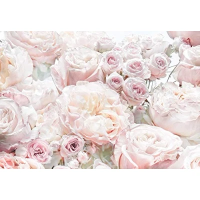Image of Komar Spring 8 976 Photo Wallpaper Wall Decoration Roses Bedroom Romantic Flower Design Size 368 x 254 cm