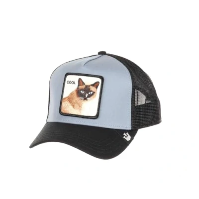 Image of Goorin Bros. Cool Cat Blue Black Adjustable Trucker Cap