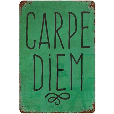 Image of Vintage Funny Novelty Metal Sign Creative Tin Carpe Diem Signs For Street Garage Family Cafe Farm Wall Decoration Crafts 8X12inch