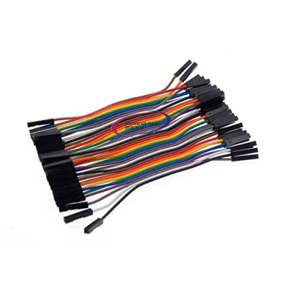 Image of Reland Sun 10cm 20cm 30cm 2.54mm Jumper Wires Cables male to female (10CM female)