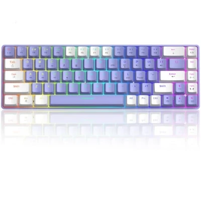 Image of T8 RGB Gaming Keyboard 60% Clicky Optical Blue Switches Mini 60 Percent Wired Mechanical 18 Chroma LED Backlit Illuminated Compact 68 Keys Detachable USB C Cable Purple