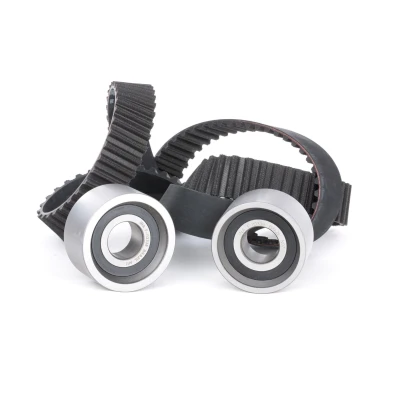 Image of 9162101 Timing belt kit INA 530 0117 10 152 FIAT: Ducato II Platform/Chassis, I Platform/Chassis