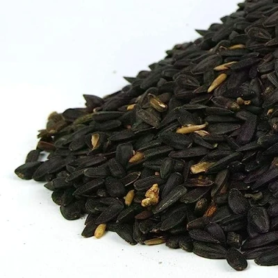 Image of GardenersDream Black Oil Sunflower Seeds Premium Quality Garden Wild Bird Food Full of Protein, Rich in Mix Nutritious, High Energy Mixture Perfect Year Round Feeding for Birds (2.5kg)