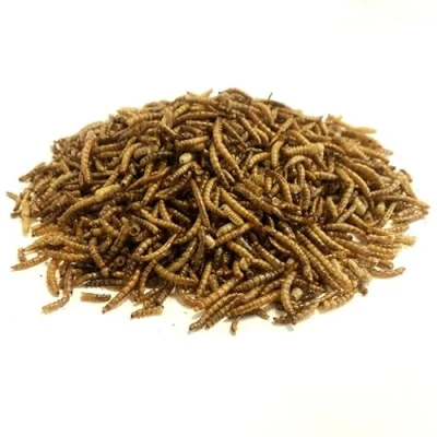 Image of Dried Mealworms 5kg Premium Insectivorous Wild Bird Food By Maltbys&#039; Stores 1904 Limited