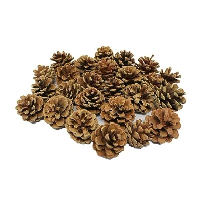 Image of Bright Ideas Natural Pine Cones, Wood, 4 6cm