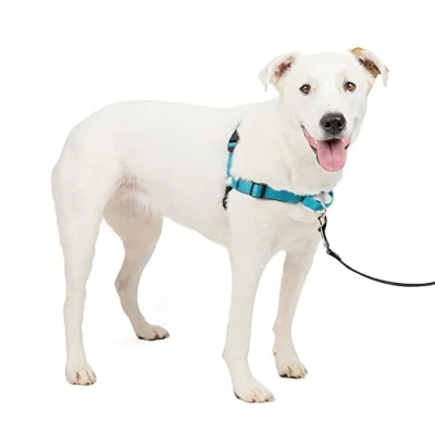 Image of PetSafe Deluxe Easy Walk Dog Harness Martingale Loop with D ring Stops Pulling Training &amp; Behavior Aid Reflectivity Enhances Visibility in Low Light Comfortable Padding Ocean/Black M/L