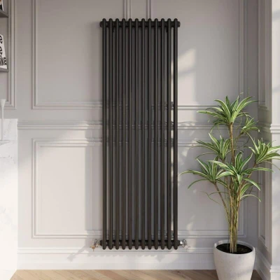Image of Park Lane Traditional Vertical Colosseum Double Bar Column Radiator Black 1600 x 560mm
