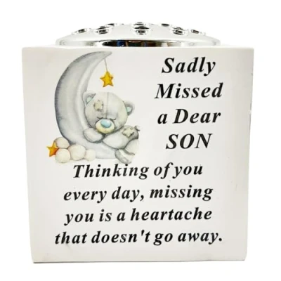 Image of Angraves Special Son Baby Boy Teddy Bear Moon Memorial Graveside Flower Vase Pot Holder Rose Bowl