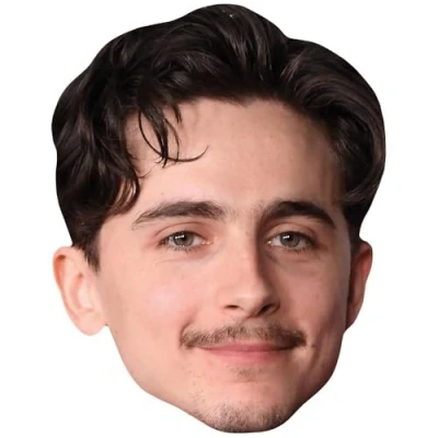 Image of Timothée Chalamet (Moustache) Celebrity Mask, Flat Card Face, Fancy Dress Mask