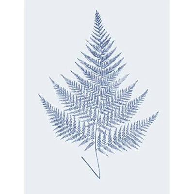 Image of Wee Blue Coo Botanics Cobalt Fern Eppusum Art Print Poster Wall Decor