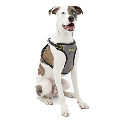Image of Kurgo Impact Dog Car Harness, Crash Tested, Integrates with Seatbelt System, Lightweight, Medium Black/Charcoal Grey