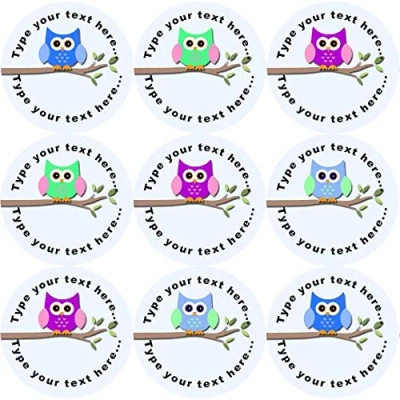 Image of 144 Colourful Owls Personalised 30 mm Reward Stickers for School Teachers, Nursery
