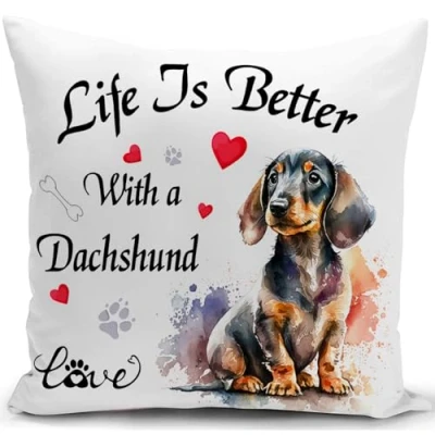 Image of HUASHUZI Cushion Cover Dachshund Gifts for Women Sausage Dog Ornament Decorations Throw Pillow Case Decor Home Livingroom Couch Sofa 18&quot;x18&quot;(45x45cm)