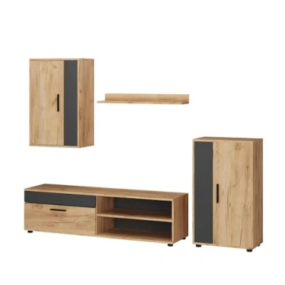 Image of Vicco Wall unit Berno, Gold power oak/Anthracite, Set of 4