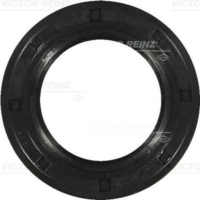 Image of 036103085A Camshaft Seal REINZ 81 34226 00 VOLKSWAGEN: Golf 4, Polo V Hatchback, IV SKODA: Fabia 2, Octavia I Hatchback