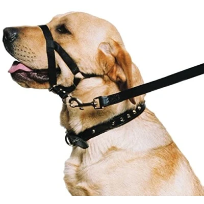 Image of Ancol Weatherproof Nylon Black Training Halter Head Collar Animal Pet Accessory, Xlarge