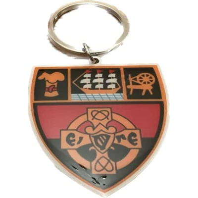 Image of Down Official ALL IRELAND GAA County crest ultra thin metal keyring