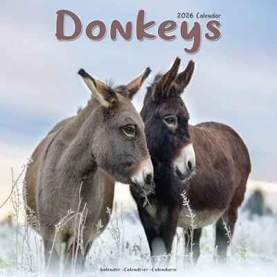 Image of Donkeys Calendar 2026