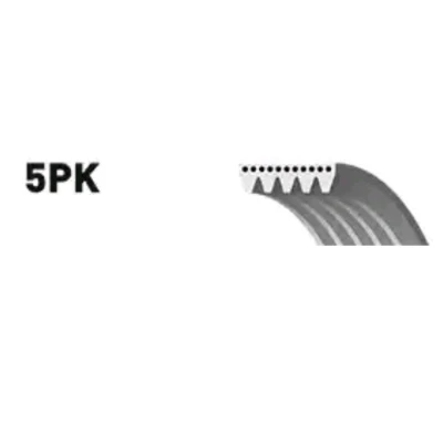 Image of 9008091171, 9009982018, 9091602201, 9936501050, 9936521050 V ribbed belt GATES Micro 5PK1053 1053mm 5 FIAT: Coupe, Ducato II Platform/Chassis