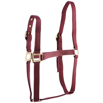 Image of Rhinegold Nylon Headcollar Cob Burgundy