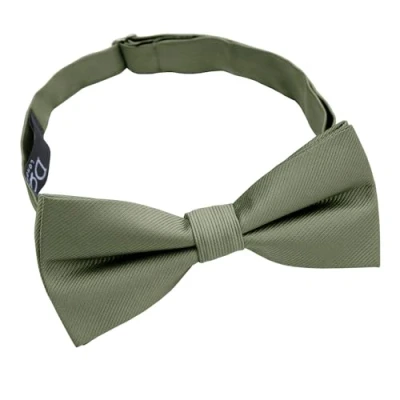 Image of DQT Plain Twill Wedding Thistle Pre Tied Bow Tie for Men Sage