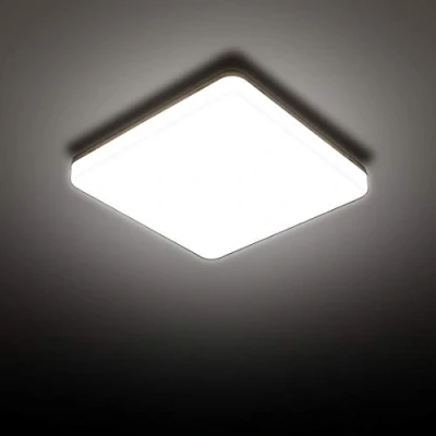 Image of SUNZOS LED Ceiling Light, 24W Daylight White Lights 6500K, 2160LM Bright Kitchen for Bedroom, Kitchen, Hallway, Outside Porch and More