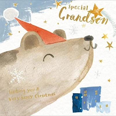 Image of Special Grandson Wishing You A Very Happy Christmas Card Xmas Greeting Cards 495960