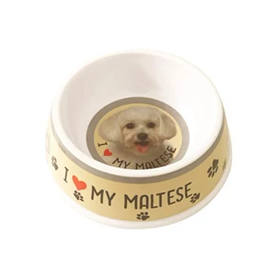 Image of Maltese Pet Bowl Dog 20cm
