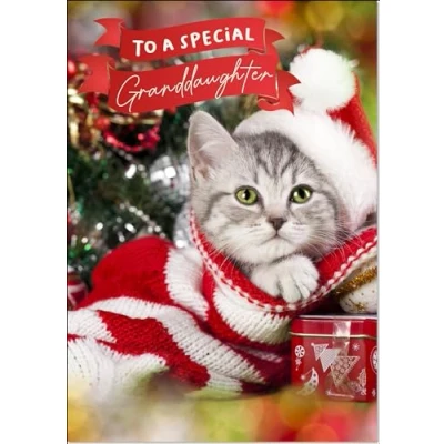 Image of doodlecards Granddaughter Christmas Card Cute Santa Paws Kitten Cat Pet Hat Large A4 Size for with Plain Envelope