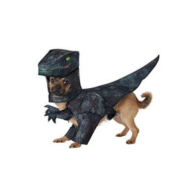 Image of California Costumes Dog Pupasaurus Rex Costume Small
