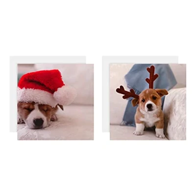 Image of Hallmark Gallery Collection Charity Christmas Cards Pack of 10 in 2 Cute Photographic Designs