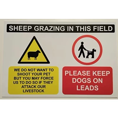 Image of Sheep grazing in This Field Please Keep Dogs on Lead Safety Sign 1mm Plastic (400mm x 300mm)