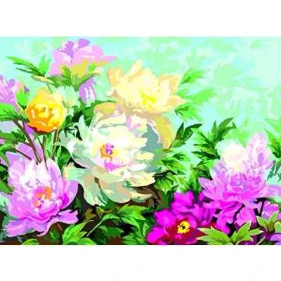Image of PAINT BY NUMBERS FLOWERS INTERHOME
