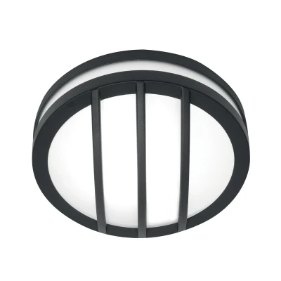 Image of Sven 1 Light Wall/Ceiling Lantern Graphite Finish IP54, E27