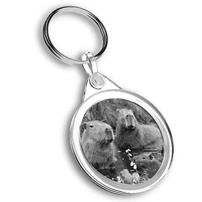 Image of Destination Vinyl ltd 1 x Photo Keyring Capybara Swimming Family KeychainKeyringCharm #42655