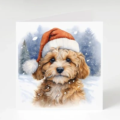 Image of Cavapoo in Snow Christmas Cards Pack of 5