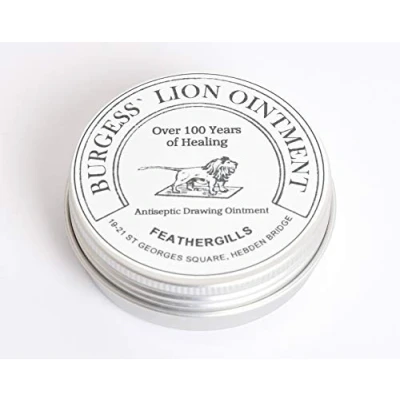 Image of Lion Ointment 60g