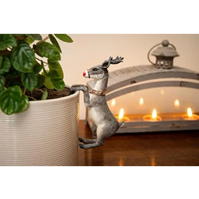 Image of Pot Buddies Christmas Rudolf the Reindeer Plant Hanger