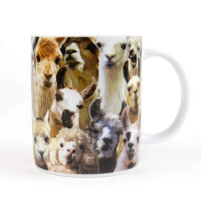 Image of Gift Republic No Prob Llama Mug