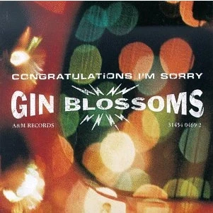 Image of Congratulations I&#039;m Sorry