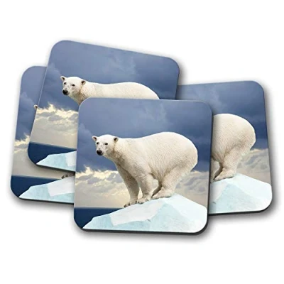 Image of 4 Set Polar Bear Coaster Iceberg Arctic Ice Animal Wild Fun #8586