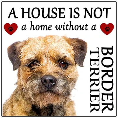 Image of Border Terrier Dog Gift &quot;House is not a Home&quot; Fridge Magnet, size 5&quot; x 5&quot;.