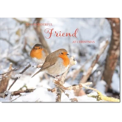 Image of doodlecards Friend Christmas Card Two Robins in Tree Medium Size for with Plain Envelope