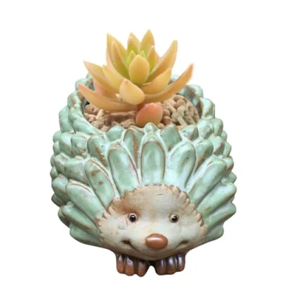 Image of LearnLyrics Ceramic Animal Planter Plant Flower Pot, Succulent Pot Versatile Hedgehog Indoor for Plants, Plants