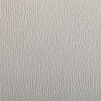 Image of Clairefontaine Ref 90881C Etival Coloured Grained Drawing Paper (Pack of 5 Sheets) A4 (29.7 x 21cm) 160gsm Cellulose Art Light Grey Acid Free, pH Neutral
