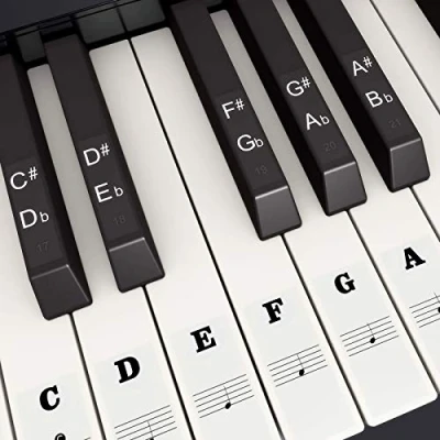 Image of Fansjoy Piano Keyboard Stickers for 88/61/54/49/37 Keys, Black Large Bold Letter Key Stickers, Transparent &amp; Removable Note Labels Kids Beginners Learning