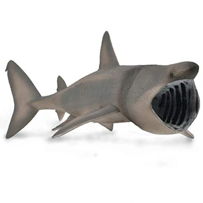 Image of CollectA Basking Shark