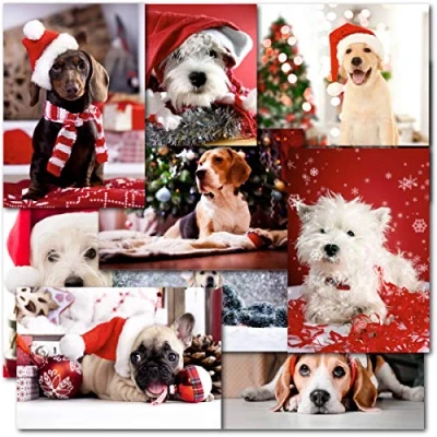 Image of Doodlecards Pack of 20 Mixed Box Dog Lovers Premium Christmas Cards