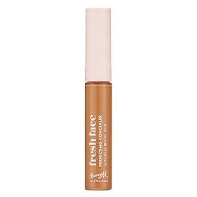 Image of Fresh Face Perfecting Concealer infused with Hyaluronic Acid, Shade 12
